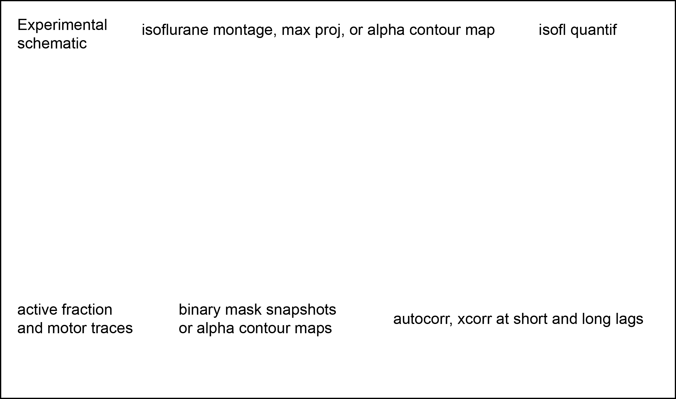 Figure 2. Cortical domains are state dependent