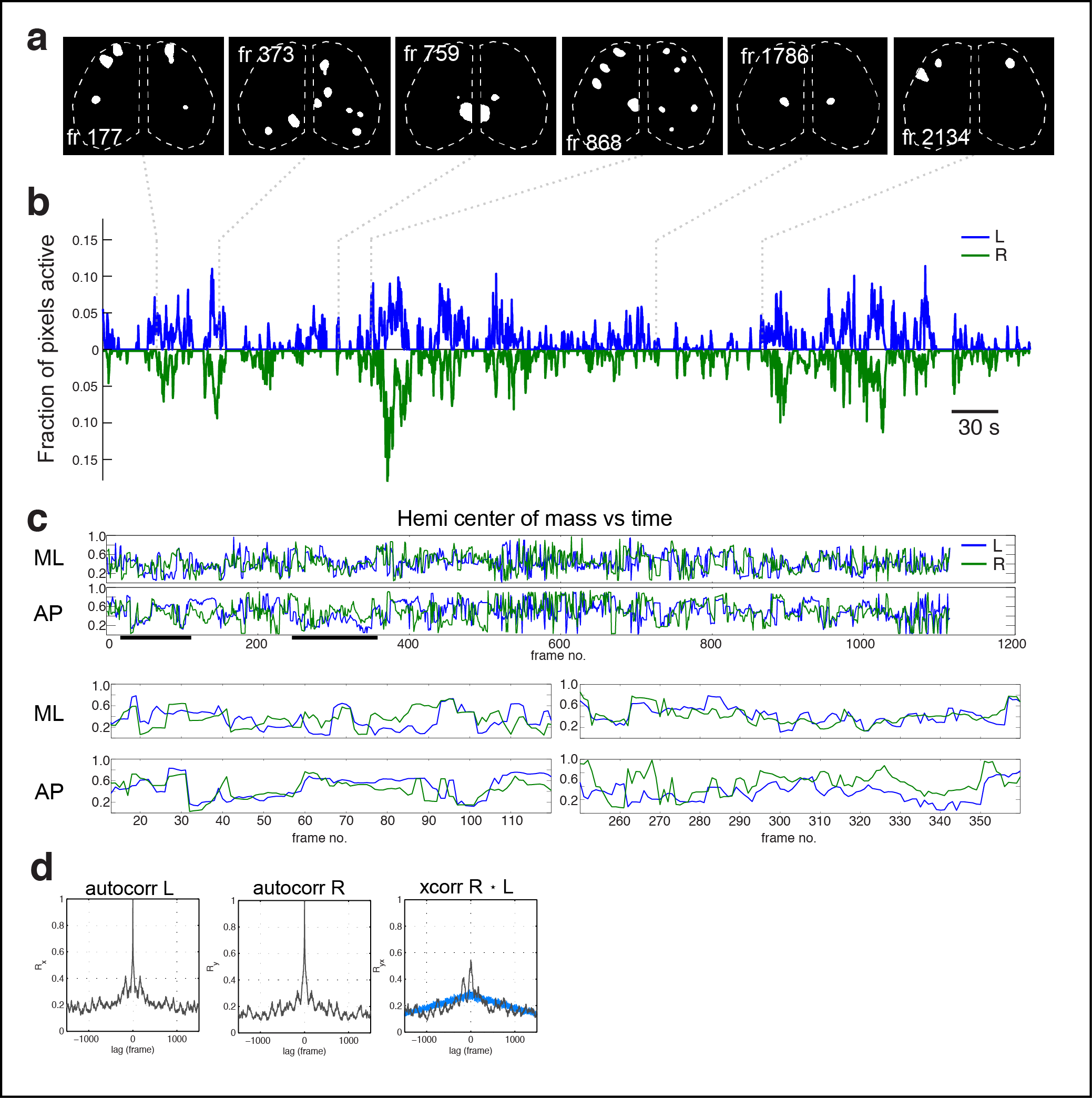  Figure 4. Subnetworks in developing isocortex. a Correlation matrix of domain activity among cortical areas. Colormap indicates Pearson's r correlation coefficient values. b Graph of functional connections for r > 0.15. Community structure detected with hierarchical clustering are indicated in 4 colors. Notice that S1-limb/body regions form a distinct subgraph (red). c Map of cortical area associations for r > 0.1.