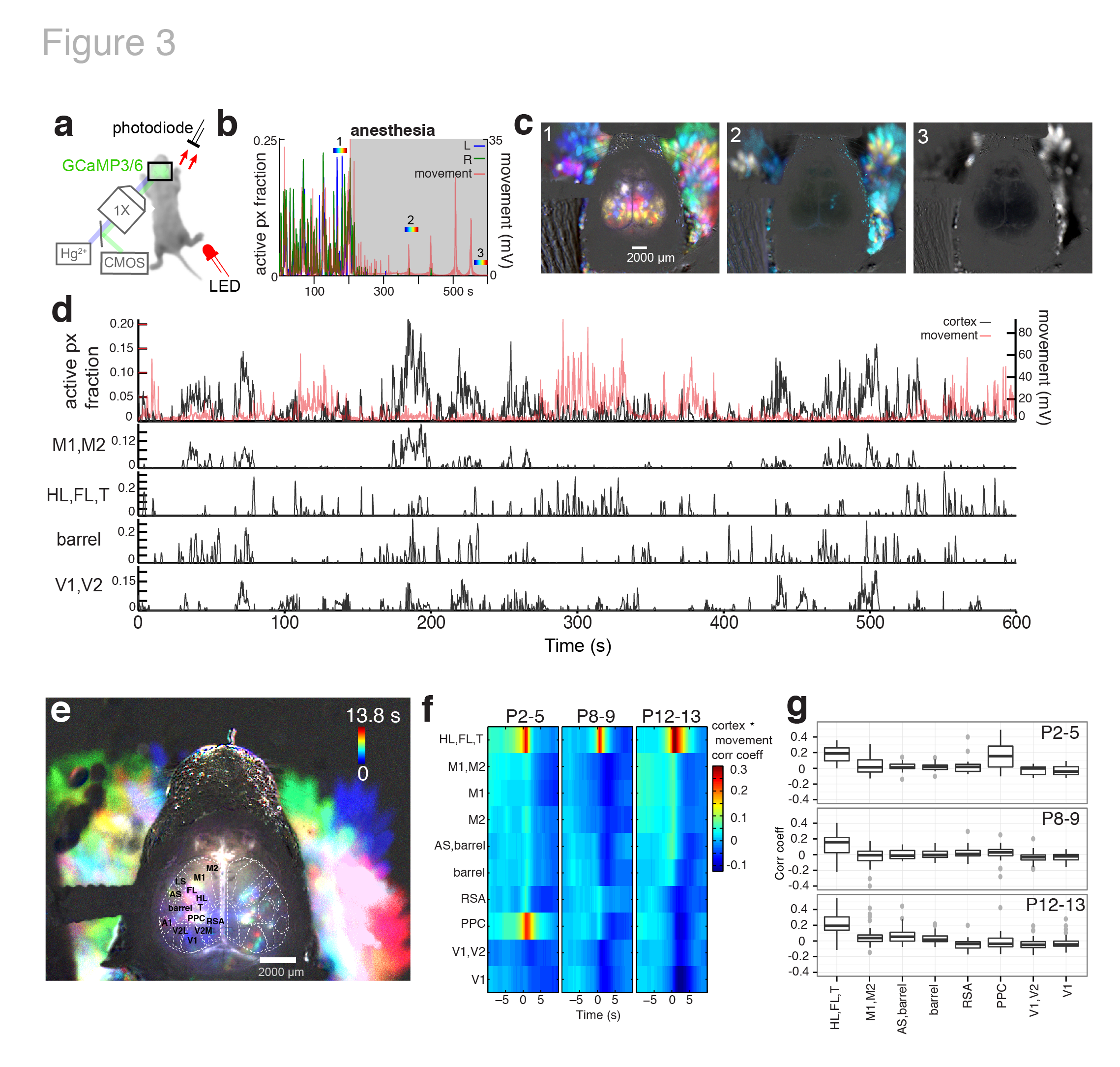  Figure 3. Cortical domain activity is state dependent. a Experimental schematic. Red light illumination measured with a photodiode (PD) was used to monitor motor movements. b Cortical activity (active pixel fraction by hemisphere) and motor movement signal after onset of isoflurane anesthesia at 205 s. c Time projection maps (40 s segments) at times indicated in recording from b. d Cortical activity and coincident motor activity signals. Gray shading indicates active and quiet motor periods determined by the half-rise and decay times from peak in the low pass filtered motor signal. Active pixel fraction traces for motor (M1,M2), somatosensory (HL,FL,T; barrel), and visual (V1,V2) cortex shown at bottom of panel. Red links show synchronized motor movements and brain activity with different cortical regions. e Single frame domain masks for times indicated in d. f Pixel activation frequency maps during quiet and active motor periods. g Cross-correlation functions between cortical regions and motor movement signals. Notice the general weak correlation between motor movement and all cortical activity signals (r = , p = ) and the high positive correlation between motor movement and S1-limb/body signals (r = 0.3019, p < 2.2e-16).