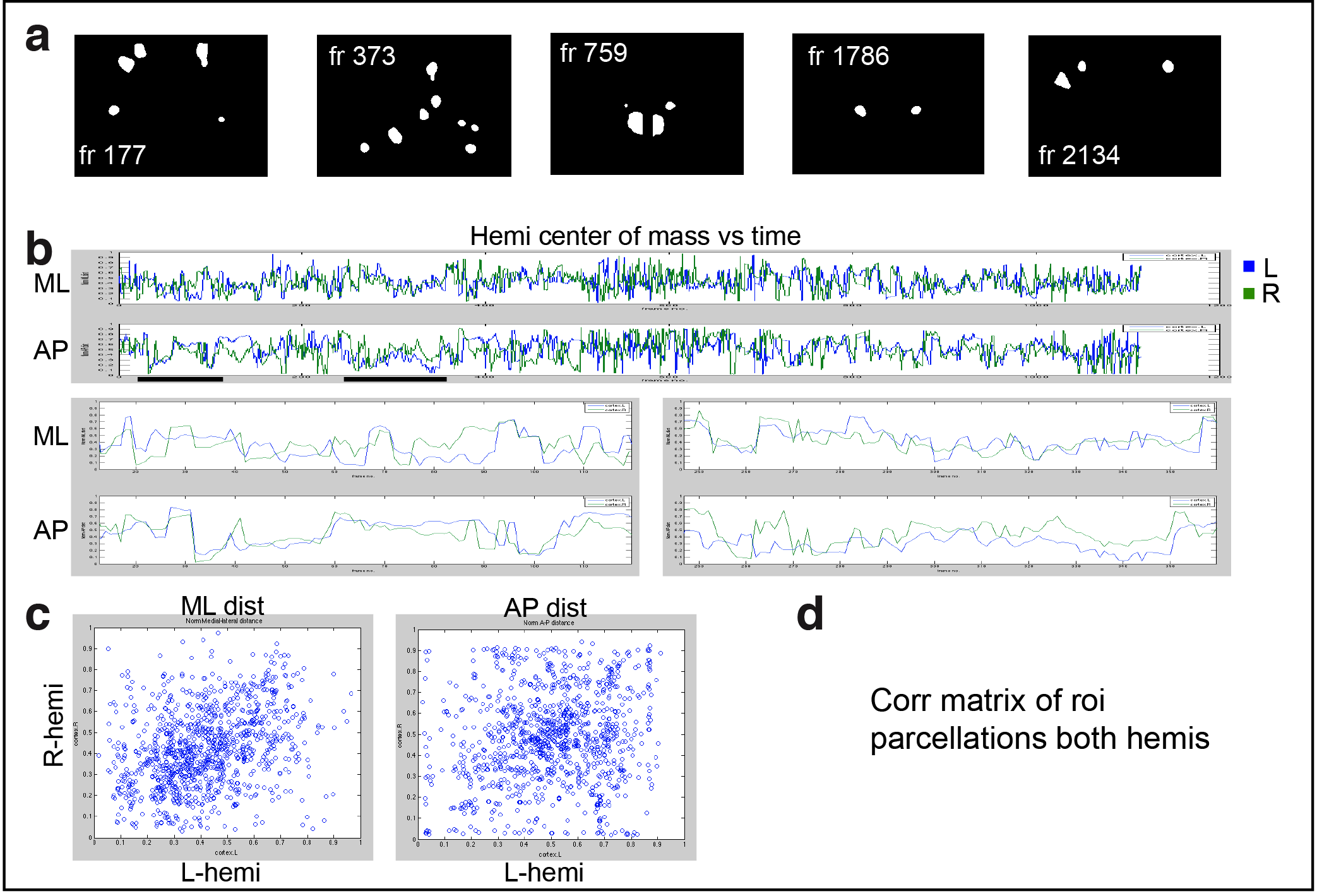 Figure 3. Cortical domain activity exhibits bilateral symmetry. a Examples of domains exhibiting spatially symmetric activations. Notice most timepoints contain a mixture of symmetric and asymmetric domain activations. b Hemispheric domain centers of mass for coactive frames in a recording along medial-lateral (ML) and anterior-posterior (AP) extents. Bottom panels show the periods indicated by black bars at expanded view. c Plot of hemispheric domain centers of mass for coactive frames. d Correlation matrix of domain activity among cortical areas.