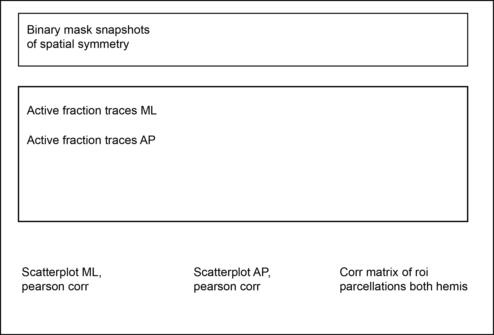 Figure 3. Cortical domain activity exhibits bilateral symmetry